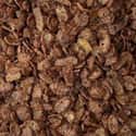 Cocoa Pebbles on Random Best Breakfast Cereals