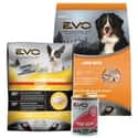 EVO on Random Best Natural Dog Food Brands