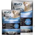 EVO on Random Best Dog Food for Weight Loss