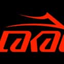 Lakai on Random Best Skate Shoe Brands
