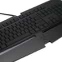 Razer on Random Best Computer Keyboard Manufacturers