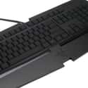 Razer on Random Best Computer Keyboard Manufacturers