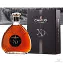 Camus on Random Best Brandy Brands From Around World
