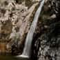 Switzer Falls is listed (or ranked) 24 on the list The Best Hiking in Los Angeles