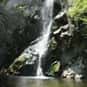 Sturtevant Falls is listed (or ranked) 9 on the list The Best Hiking in Los Angeles