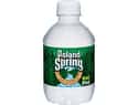 Poland Spring on Random Best Bottled Water Brands