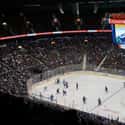 Rogers Arena on Random Best NHL Arenas