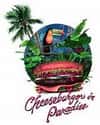 Cheese Burger in Paradise on Random Best Bar & Grill Restaurant Chains
