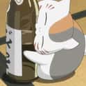 Nyanko Sensei on Random Borderline Alcoholic Anime Characters That Would Drink You Under Tabl