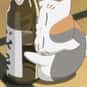 Nyanko Sensei is listed (or ranked) 18 on the list 30+ Borderline Alcoholic Anime Characters That Would Drink You Under the Table