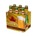 Molson Golden on Random Best American Domestic Beers