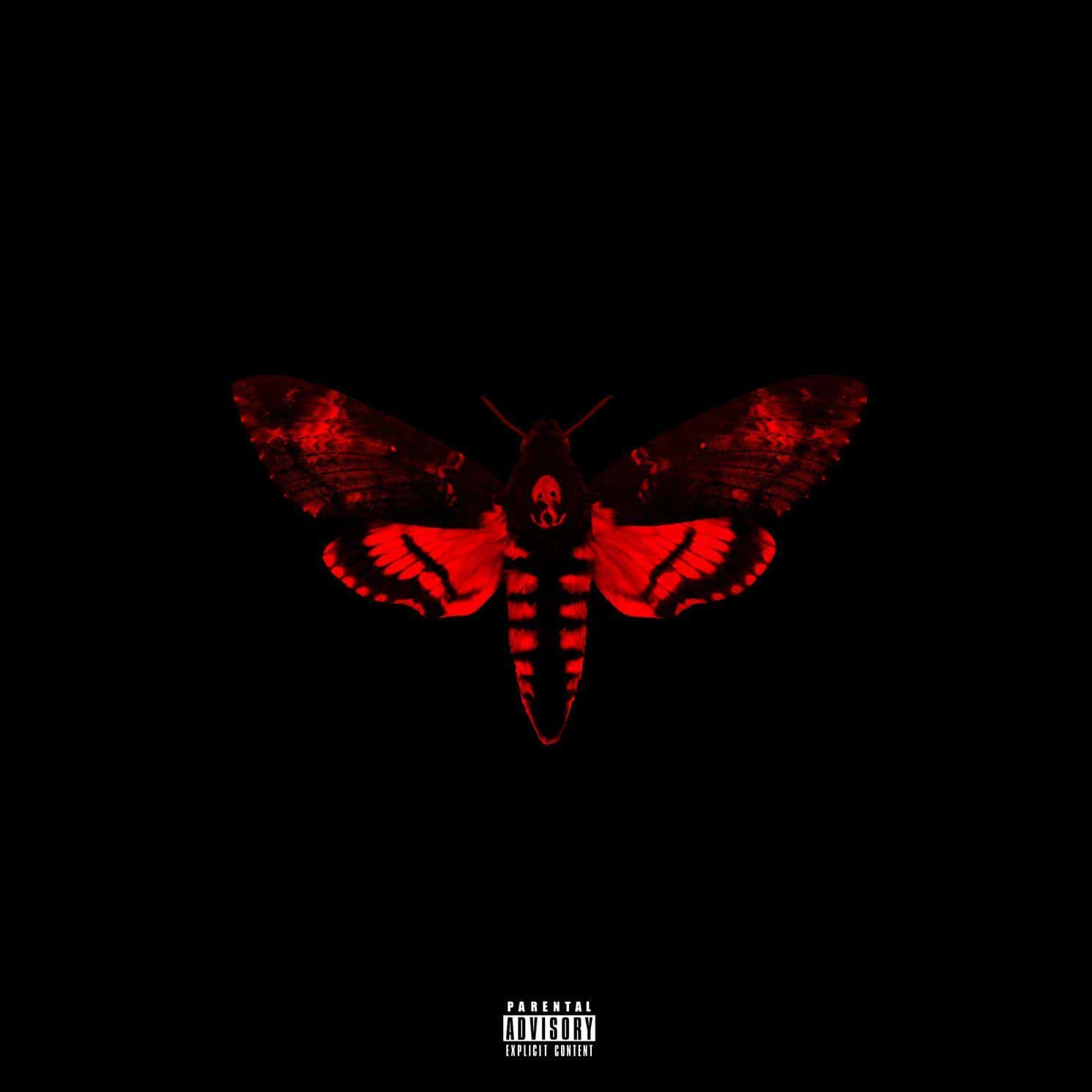 lil wayne ianahb2 release date