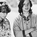 Foxygen on Random Best Bands With Animal Names