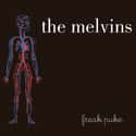 Freak Puke on Random Best Melvins Albums