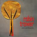 Roots and Branches on Random Best Robin Trower Albums