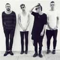 The 1975 on Random Most Hipster Bands