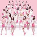 E-Girls on Random Best J-Pop Bands & Singers
