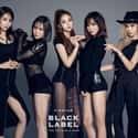 Fiestar is listed (or ranked) 6 on the list List Of All Disbanded K-pop Girl Groups, Ranked