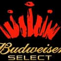 Budweiser Select on Random Best Beers for a Party