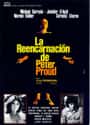 Reincarnation of Peter Proud on Random Best Reincarnation Movies