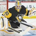 Matt Murray on Random Best Pittsburgh Penguins