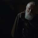 Grand Maester Pycelle on Random Game Of Thrones Characters Who Hooked Up and Died