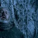Hodor on Random 'Game of Thrones' Characters You Would Bury In Pet Sematary