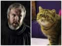Hodor on Random Cats Who Look Like GoT Characters