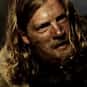 Torstein is listed (or ranked) 8 on the list Favourite Vikings Series Character