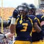 Stedman Bailey is listed (or ranked) 9 on the list The Best West Virginia Football Players of All Time