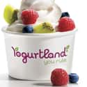 Yogurtland on Random Best Ice Cream & Frozen Yogurt Chains