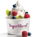 Yogurtland on Random Best Ice Cream Parlors