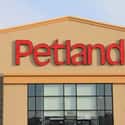 Petland on Random Best Pet Stores In America