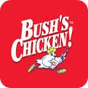 Bush's Chicken on Random Best Southern Restaurant Chains