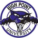 High Point Panthers men's basketball on Random Best Big South Basketball Teams