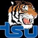 Tennessee State Tigers men's basketball on Random Best Ohio Valley Basketball Teams