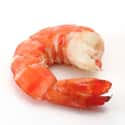 Shrimp on Random Most Delicious Foods to Dunk of Deep Fry