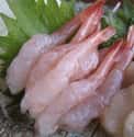Shrimp on Random Best Fish for Sushi
