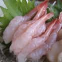 Shrimp on Random Best Fish for Sushi
