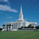Fort Lauderdale Florida Temple on Random Most Beautiful Mormon Temples