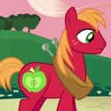 Big Macintosh on Random Best My Little Pony: Friendship Is Magic Characters