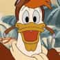Launchpad McQuack is listed (or ranked) 15 on the list The Greatest Bird Characters of All Time