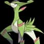 Virizion is listed (or ranked) 640 on the list Complete List of All Pokemon Characters