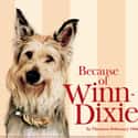 Dixie on Random Greatest Dog Characters