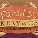 Paradise Bakery & Café on Random Best Bakery Restaurant Chains