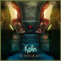 The Paradigm Shift on Random Best Korn Albums