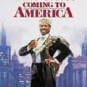 Coming to America on Random Best Black Movies