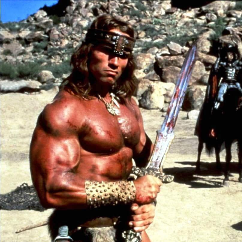 Конан варвар 1982. Валера варвар. Валера варвар. Конан-варвар / conan the barbarian (1982). Шварценеггер конан.