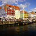Copenhagen on Random Global Cities