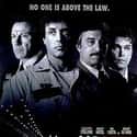 Cop Land on Random Best Mafia Films